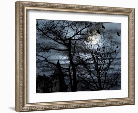 Dark Shadows-Katherine Sanderson-Framed Photographic Print