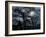 Dark Shadows-Katherine Sanderson-Framed Photographic Print