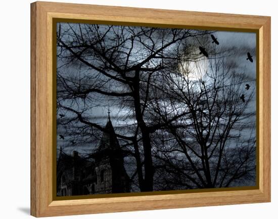 Dark Shadows-Katherine Sanderson-Framed Premier Image Canvas