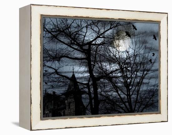 Dark Shadows-Katherine Sanderson-Framed Premier Image Canvas