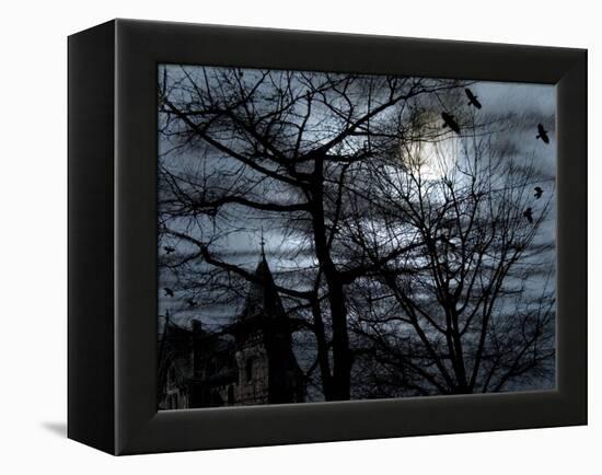 Dark Shadows-Katherine Sanderson-Framed Premier Image Canvas