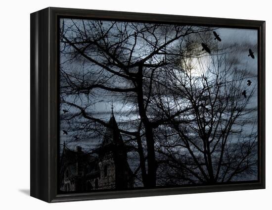 Dark Shadows-Katherine Sanderson-Framed Premier Image Canvas