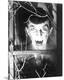 Premium Photographic Print