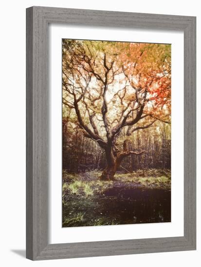 Dark Soul-Viviane Fedieu Daniel-Framed Photographic Print