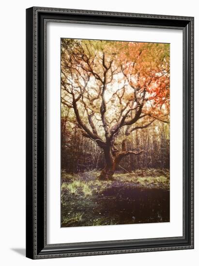 Dark Soul-Viviane Fedieu Daniel-Framed Photographic Print