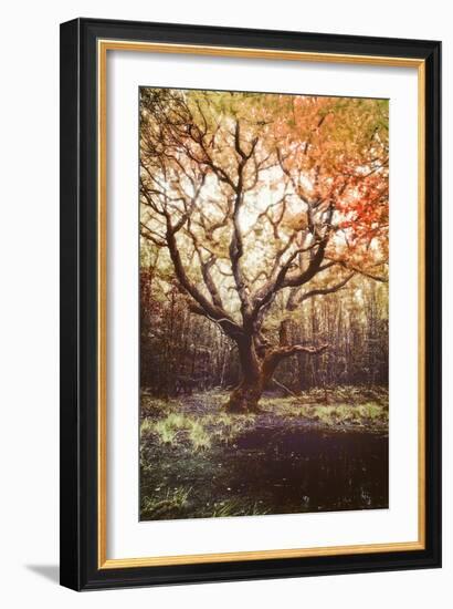 Dark Soul-Viviane Fedieu Daniel-Framed Photographic Print