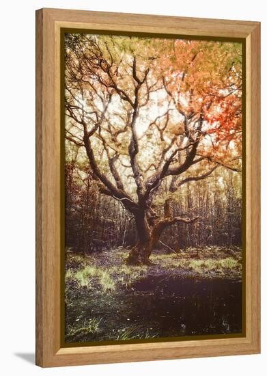 Dark Soul-Viviane Fedieu Daniel-Framed Premier Image Canvas