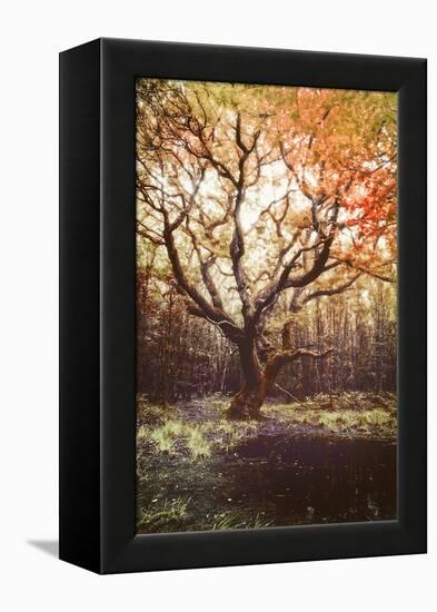 Dark Soul-Viviane Fedieu Daniel-Framed Premier Image Canvas