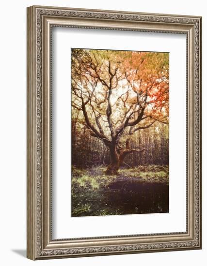 Dark Soul-Viviane Fedieu Daniel-Framed Photographic Print