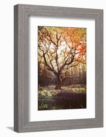 Dark Soul-Viviane Fedieu Daniel-Framed Photographic Print