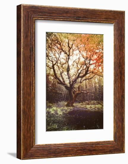 Dark Soul-Viviane Fedieu Daniel-Framed Photographic Print