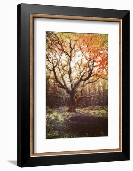 Dark Soul-Viviane Fedieu Daniel-Framed Photographic Print