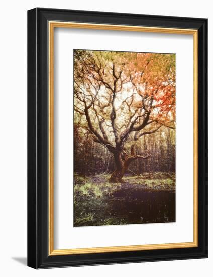 Dark Soul-Viviane Fedieu Daniel-Framed Photographic Print