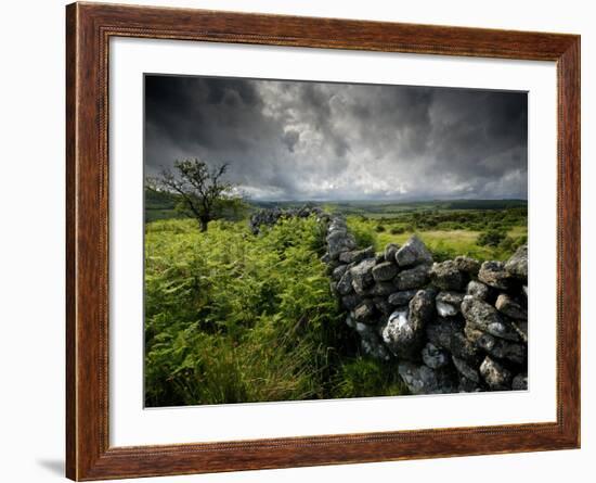 Dark Storm Clouds Above Stone Wall Near Combestone Tor, Devon, Dartmoor Np, UK-Ross Hoddinott-Framed Photographic Print