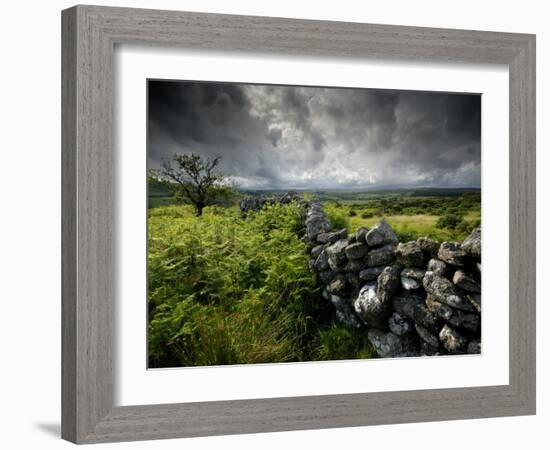 Dark Storm Clouds Above Stone Wall Near Combestone Tor, Devon, Dartmoor Np, UK-Ross Hoddinott-Framed Photographic Print