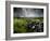 Dark Storm Clouds Above Stone Wall Near Combestone Tor, Devon, Dartmoor Np, UK-Ross Hoddinott-Framed Photographic Print