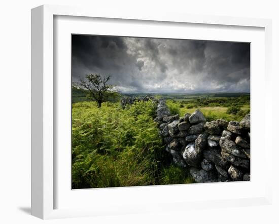 Dark Storm Clouds Above Stone Wall Near Combestone Tor, Devon, Dartmoor Np, UK-Ross Hoddinott-Framed Photographic Print