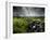 Dark Storm Clouds Above Stone Wall Near Combestone Tor, Devon, Dartmoor Np, UK-Ross Hoddinott-Framed Photographic Print