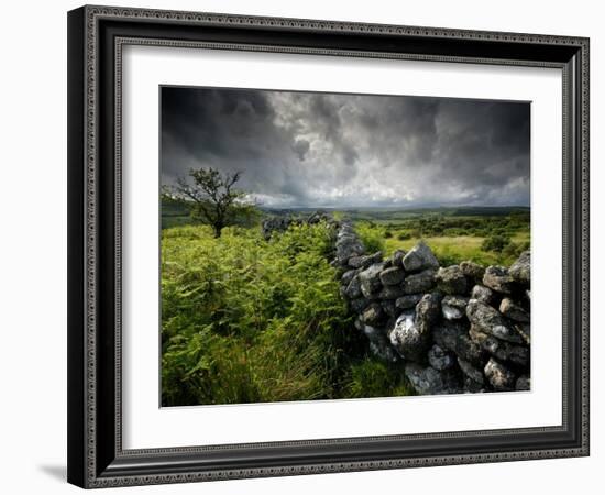 Dark Storm Clouds Above Stone Wall Near Combestone Tor, Devon, Dartmoor Np, UK-Ross Hoddinott-Framed Photographic Print