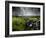 Dark Storm Clouds Above Stone Wall Near Combestone Tor, Devon, Dartmoor Np, UK-Ross Hoddinott-Framed Photographic Print