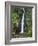 Dark View Falls, St. Vincent, St. Vincent and the Grenadines, Windward Islands-Michael DeFreitas-Framed Photographic Print