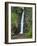 Dark View Falls, St. Vincent, St. Vincent and the Grenadines, Windward Islands-Michael DeFreitas-Framed Photographic Print