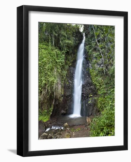 Dark View Falls, St. Vincent, St. Vincent and the Grenadines, Windward Islands-Michael DeFreitas-Framed Photographic Print