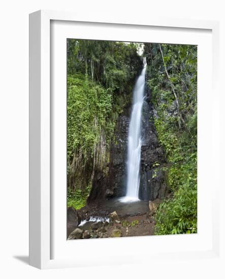 Dark View Falls, St. Vincent, St. Vincent and the Grenadines, Windward Islands-Michael DeFreitas-Framed Photographic Print