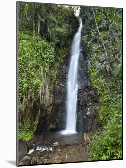 Dark View Falls, St. Vincent, St. Vincent and the Grenadines, Windward Islands-Michael DeFreitas-Mounted Photographic Print