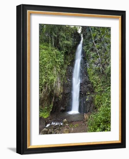 Dark View Falls, St. Vincent, St. Vincent and the Grenadines, Windward Islands-Michael DeFreitas-Framed Photographic Print