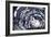 Dark Waves-Kari Taylor-Framed Giclee Print