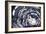 Dark Waves-Kari Taylor-Framed Giclee Print