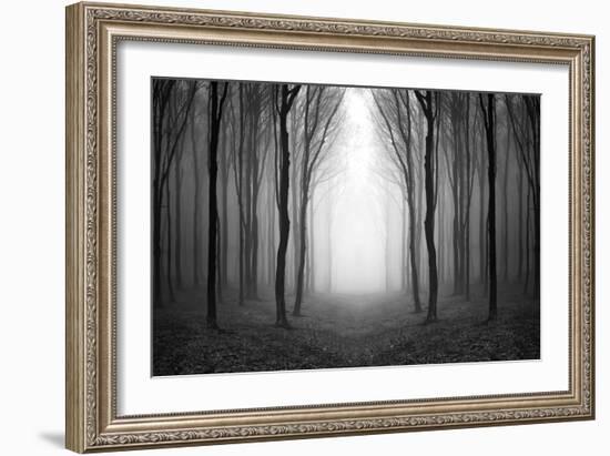 Dark Woods-PhotoINC-Framed Premium Photographic Print