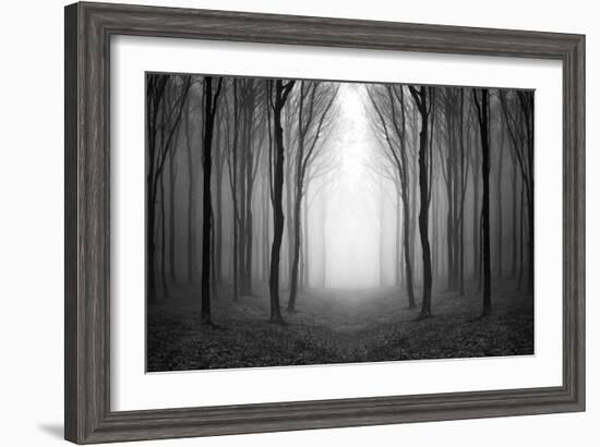 Dark Woods-PhotoINC-Framed Premium Photographic Print