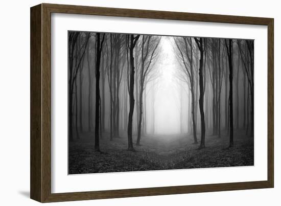 Dark Woods-PhotoINC-Framed Premium Photographic Print