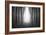 Dark Woods-PhotoINC-Framed Premium Photographic Print