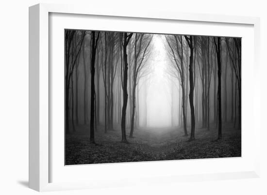 Dark Woods-PhotoINC-Framed Premium Photographic Print