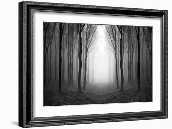 Dark Woods-PhotoINC-Framed Premium Photographic Print