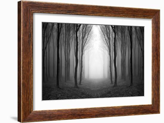 Dark Woods-PhotoINC-Framed Photographic Print