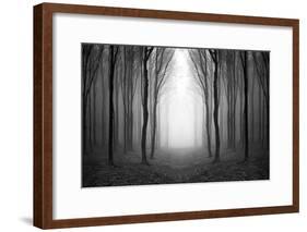 Dark Woods-PhotoINC-Framed Photographic Print