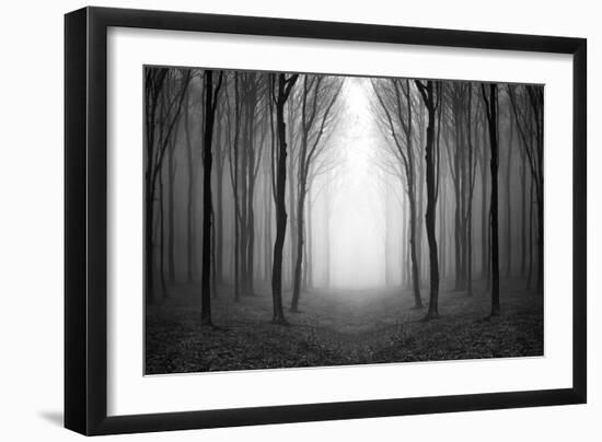 Dark Woods-PhotoINC-Framed Photographic Print