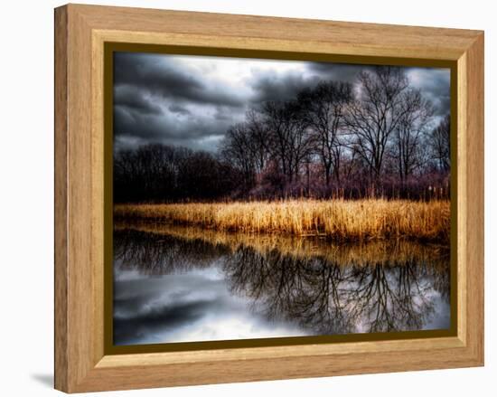 Dark Youth-Stephen Arens-Framed Premier Image Canvas