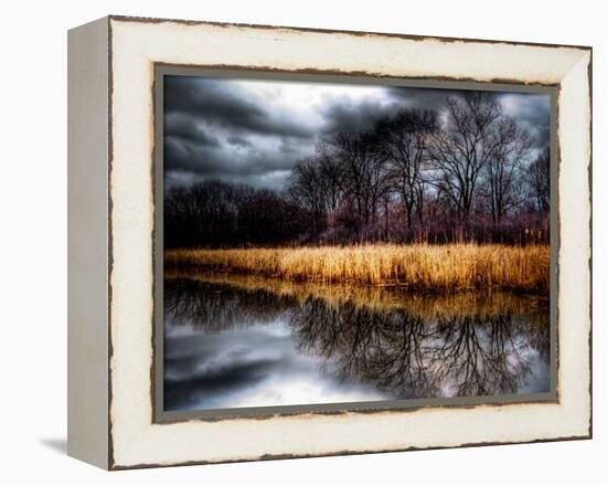 Dark Youth-Stephen Arens-Framed Premier Image Canvas