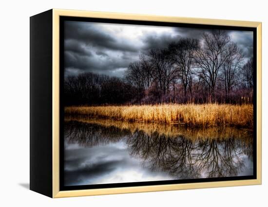 Dark Youth-Stephen Arens-Framed Premier Image Canvas