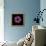 Darkness E3 - Purple Morning Glory Bud-Doris Mitsch-Framed Premier Image Canvas displayed on a wall