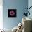 Darkness E3 - Purple Morning Glory Bud-Doris Mitsch-Framed Premier Image Canvas displayed on a wall