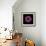 Darkness E3 - Purple Morning Glory Bud-Doris Mitsch-Framed Photographic Print displayed on a wall