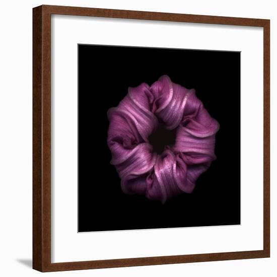 Darkness E3 - Purple Morning Glory Bud-Doris Mitsch-Framed Photographic Print