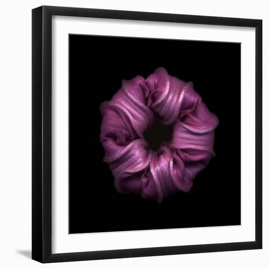 Darkness E3 - Purple Morning Glory Bud-Doris Mitsch-Framed Photographic Print