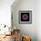 Darkness E3 - Purple Morning Glory Bud-Doris Mitsch-Framed Photographic Print displayed on a wall